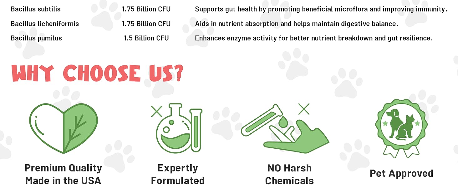 cat probiotics for indoor cats digestive support