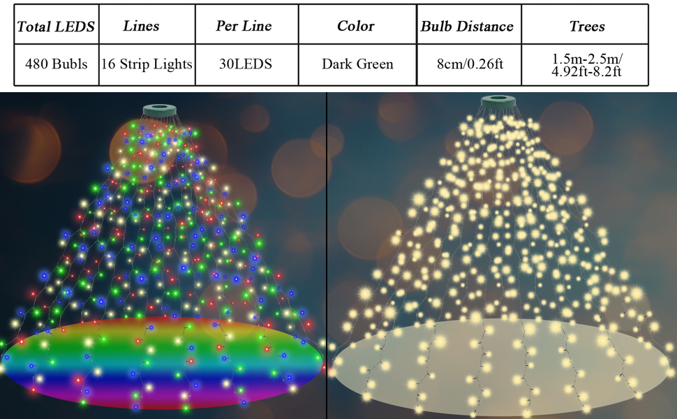 Christmas Tree Lights with Ring