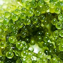 Green Caviar