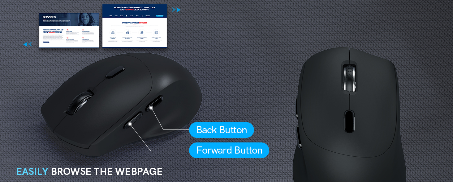 mouse