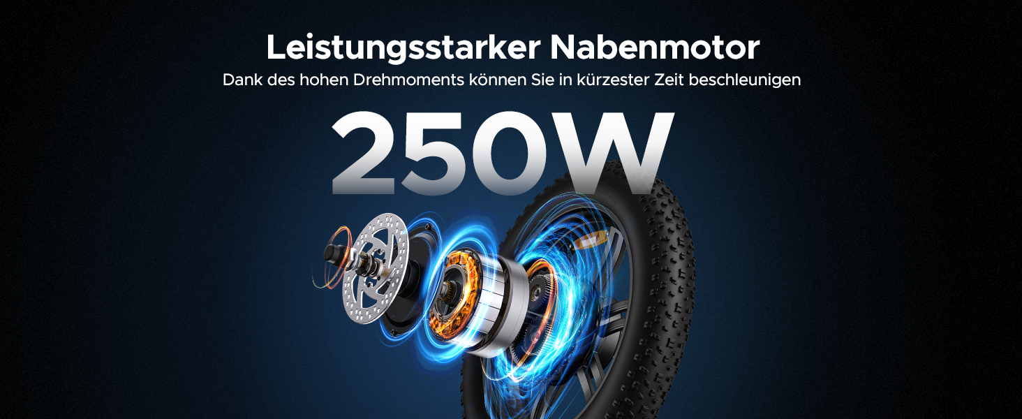 E BIKE HERREN