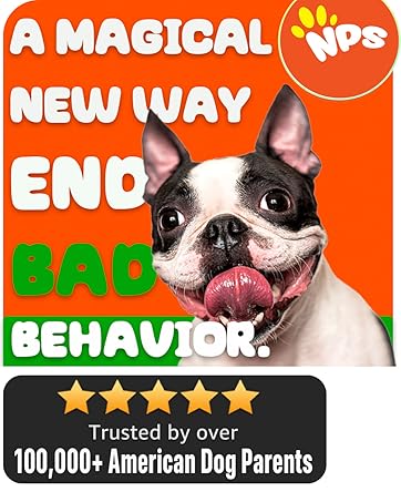 how stop a dog from barking