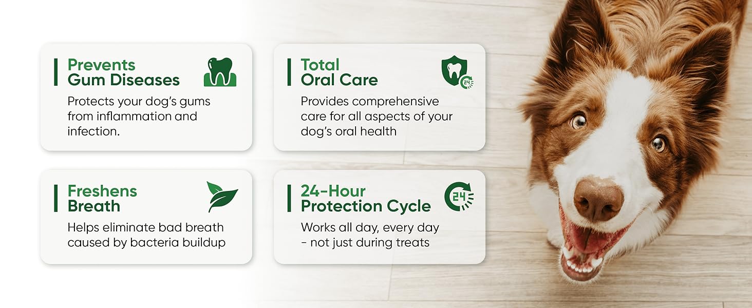 Alpha Dog Nutrition Fortify Dental Powder