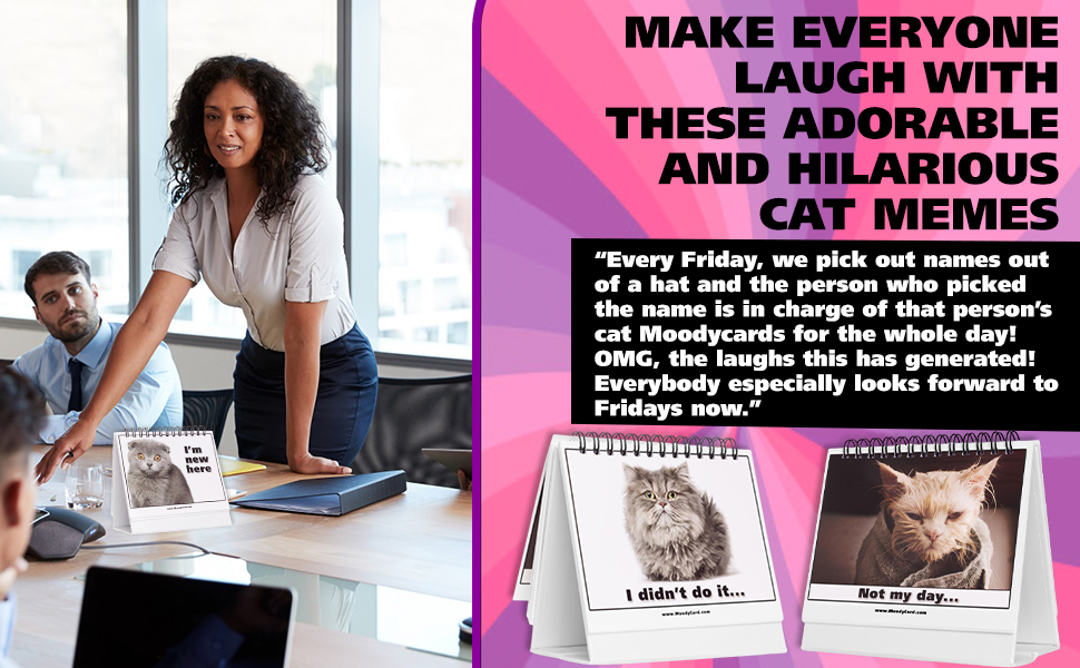 Funny Office Gift For Cat Lovers, Cat Moodycards on a Desk