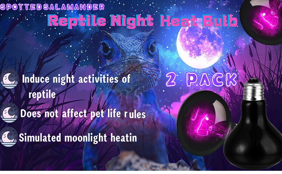 Reptile Night Heat Lamp