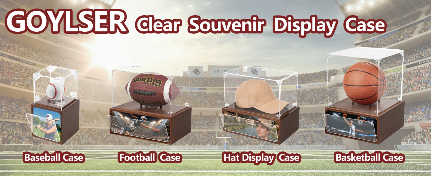 Baseball Display Box