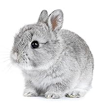 Ohne Tierversuche und vegan