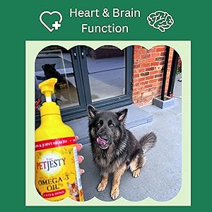 Dog omega 3 Oil, Dog fish oil, dog health, dog supplement