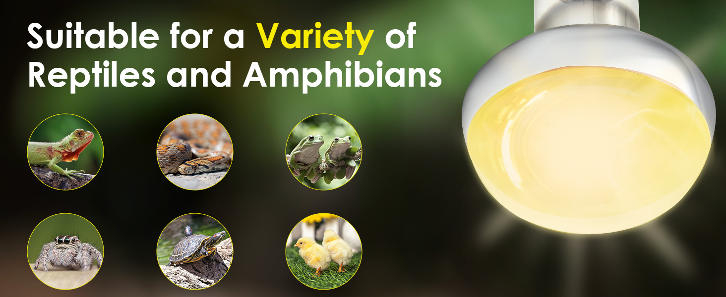 reptile basking bulb