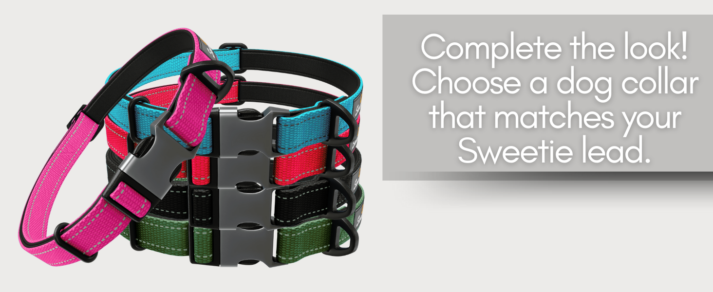 bungee dog leads for medium dogs zero shock dog lead bungee dog leads for medium dogs