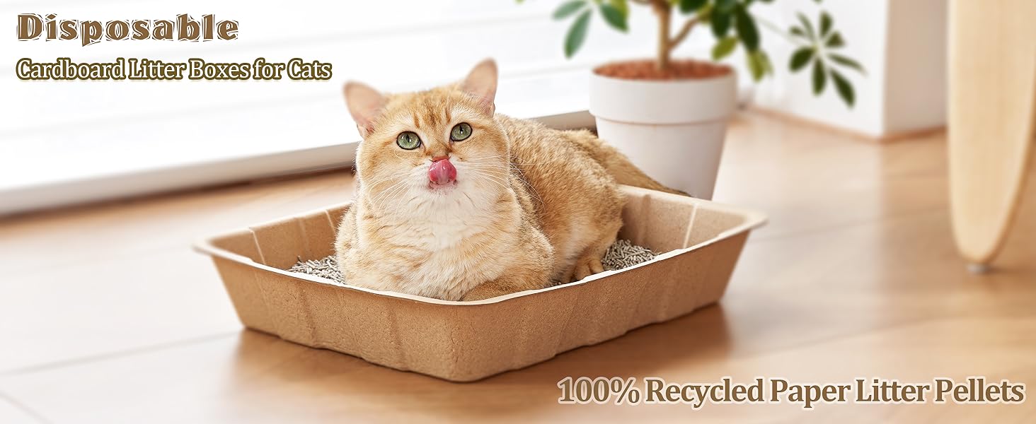 Disposable litter tray