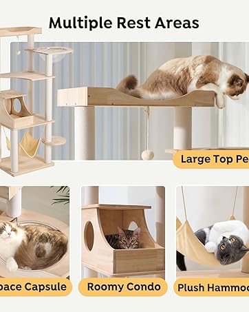 cat tower