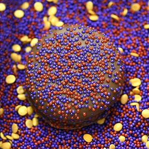 nonpareils blue