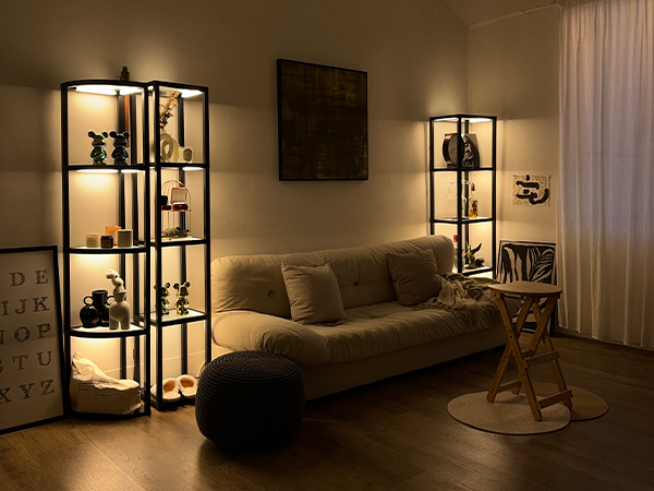 Amazon.com: FENLO LED Display Shelf with Lights – Curio