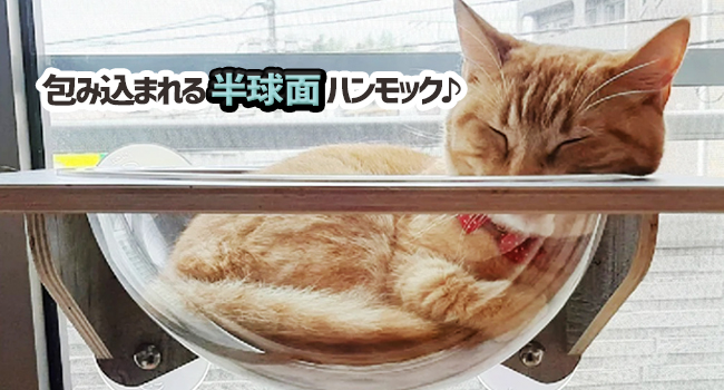 POOKIE 猫 窓 ハンモック スケルトン 窓ベッド ステップ【3点セット】 Amazon | POOKIE 猫 窓 ハンモック スケルトン 窓ベッド ミニ