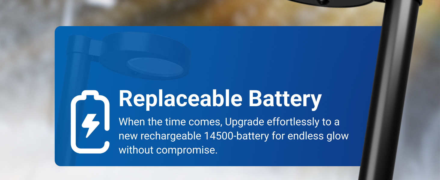 Replaceable Battery