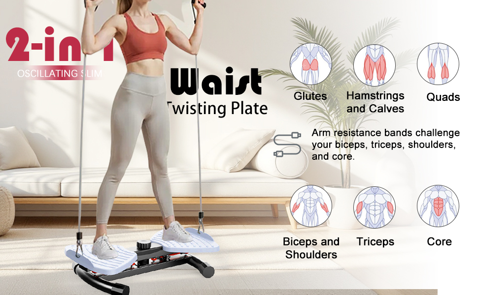 twister exercise machine