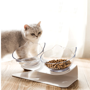 Double Cat Bowl with Raised Stand, Cat Bowl Pet Food Feeder,15° Tilted Anti-Slip Transparent Cat Food and Water Bowl, Protect Pets Cervical Vertebra, Detachable Pet Bowl for Cats and Dogs 19 2