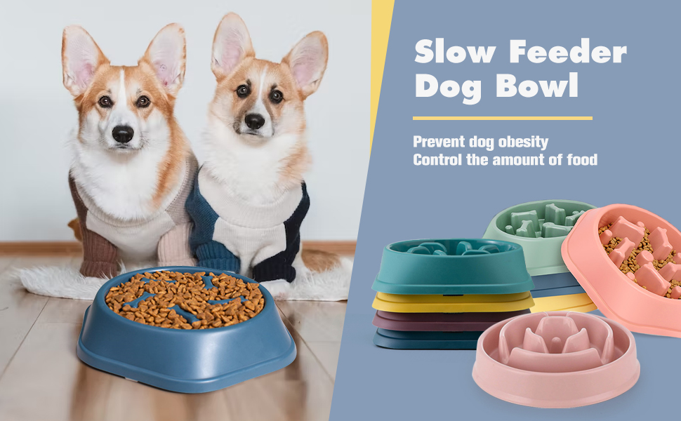 Slow Feeder Dog Bowl Preventing Choking Slow Eating Pet Bowl Anti