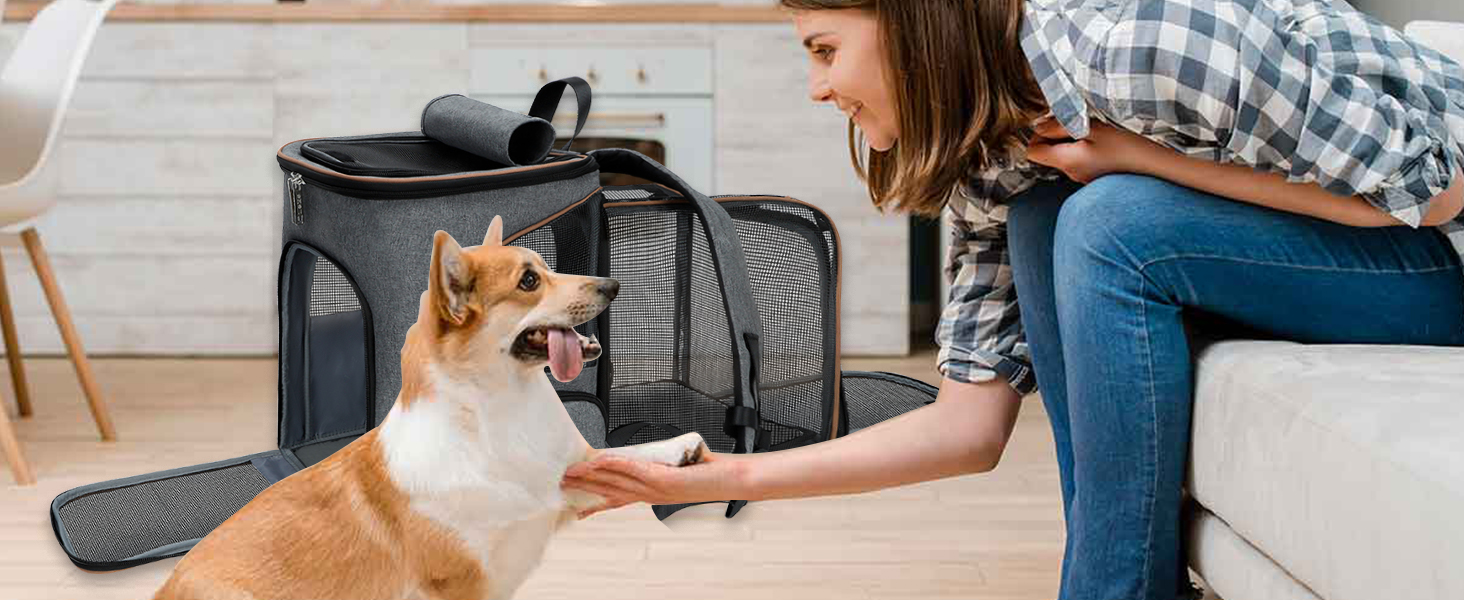 dog backpack carrier