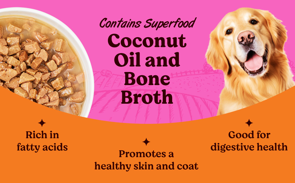 dog gravy food for adult chicken gravy for dog adults chunks gravy for dogs wet dog food fish puppy