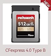 Amazon.com: PERGEAR 1TB Cfexpress 4.0 Type B Memory Card