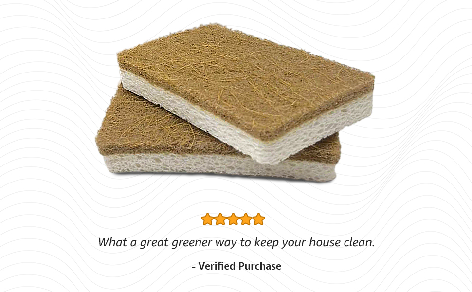 kitchen sponges