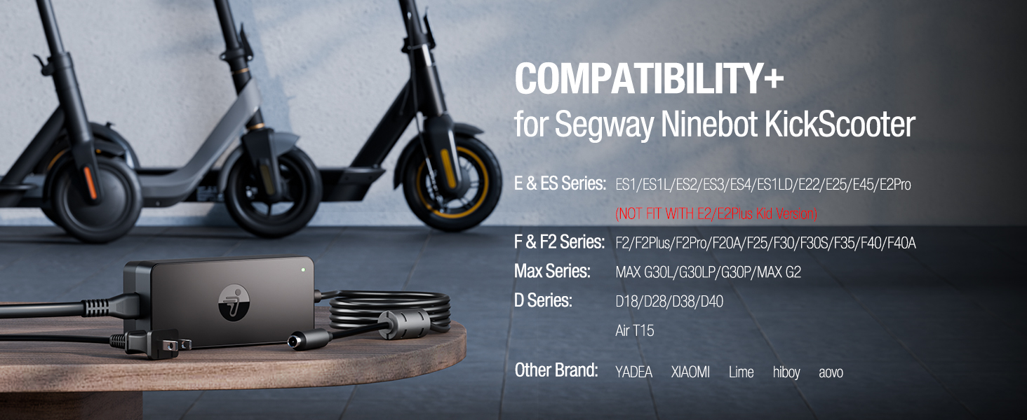 ninebot kickscooter E2 pro charger