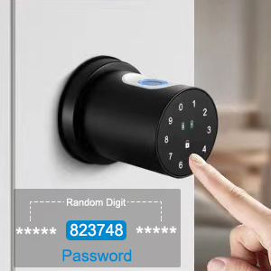 Smart Lock Fingerprint Door Lock Keypad