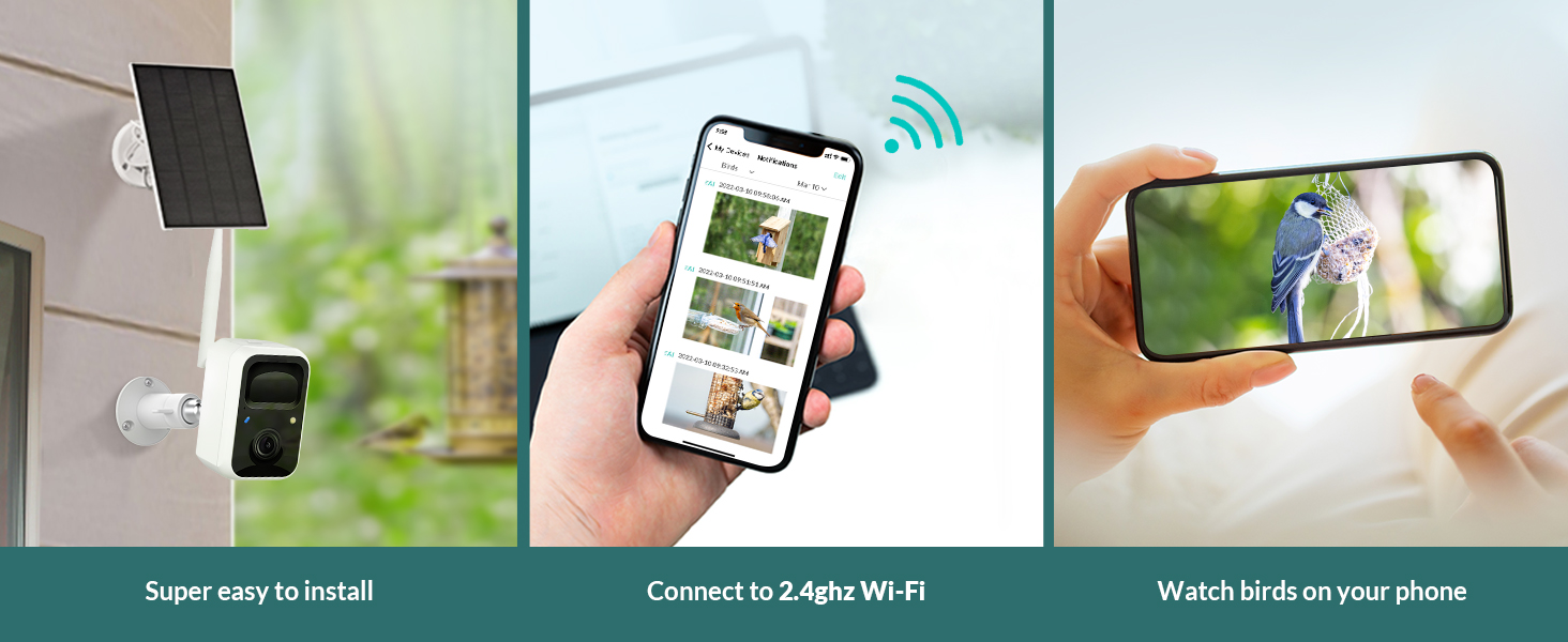 NETVUE Birdfy Lite Smart Bird Feeder Camera, Bird