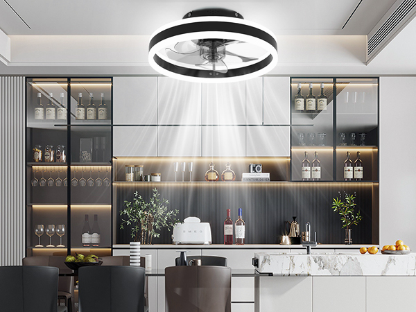 Ventilator Deckenleuchte