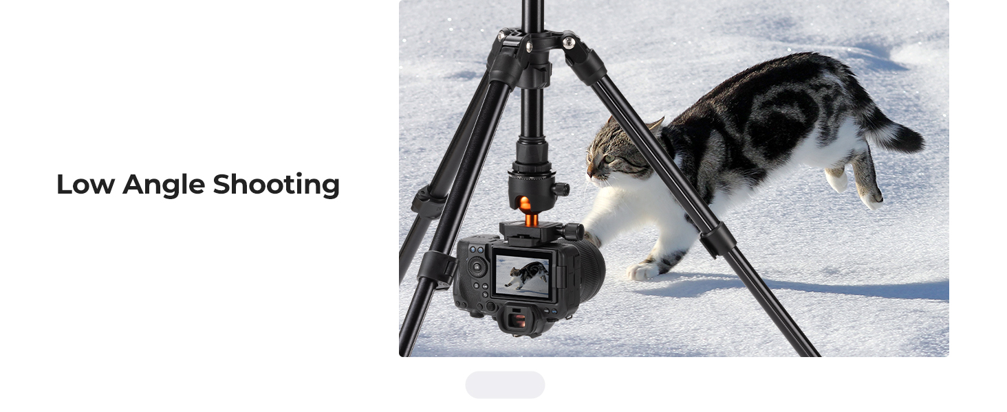Text reads 'Low Angle Shooting'. Shows camera equipment positioned low to ground with snowy landscape visible.