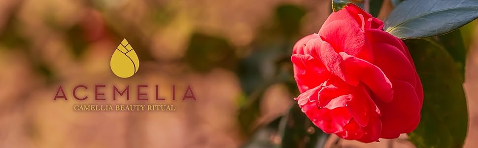 cover acemelia