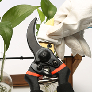 Small manufacture image 4