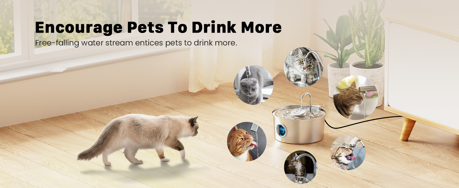 Free-falling water stream entices pets  to drink more