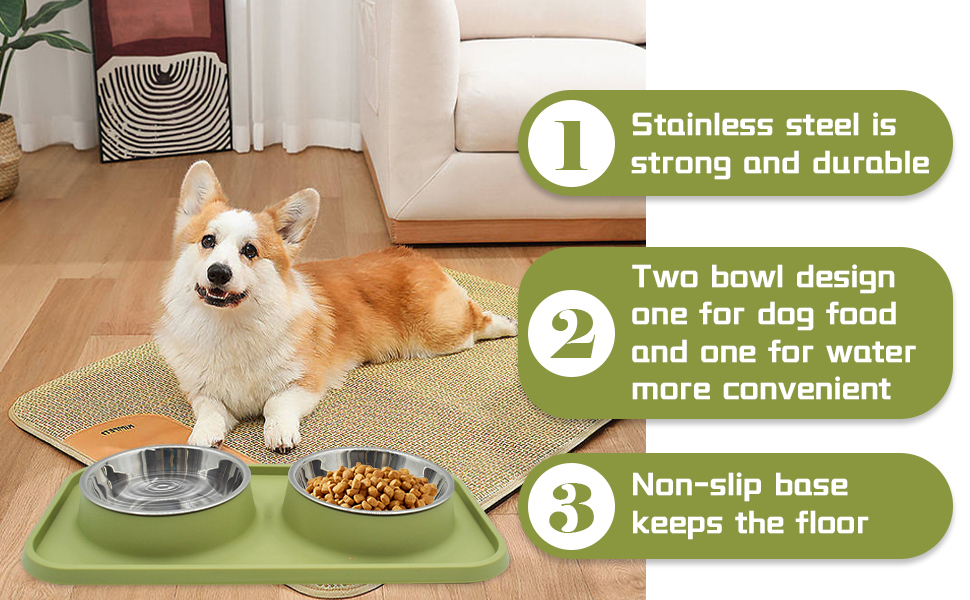 Dog Food Bowls Stainless Steel Pet Bowls & Dog Water Bowls with Non-Skid Non-Spill Silicone Mat