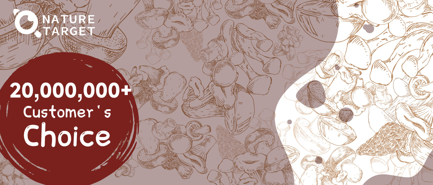 mushroom supplement lions mane supplement capsules lions mane supplement