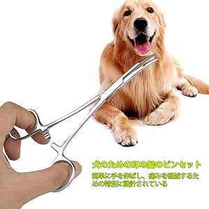 動物　耳毛ハサミ ハグパップ 耳毛切りハサミ（犬猫用) 【メール便対応