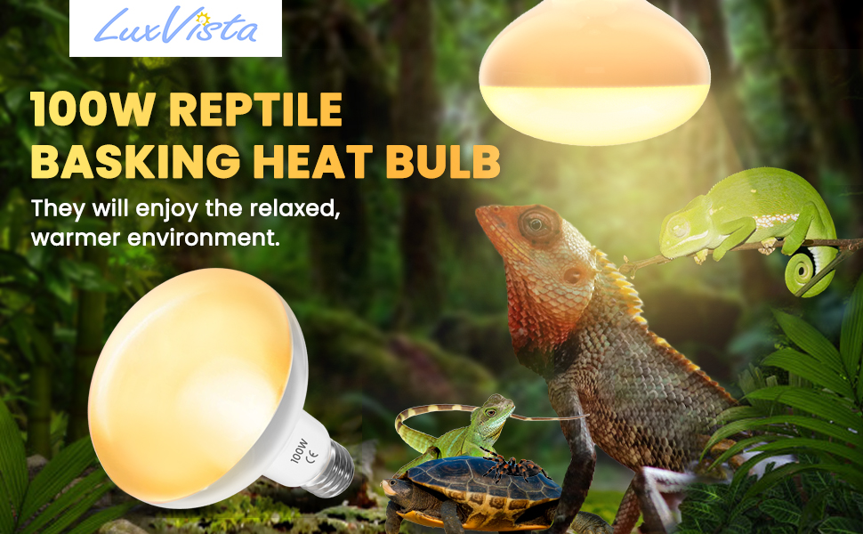 heat bulb for reptiles