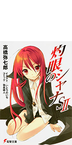 Amazon.co.jp: 灼眼のシャナXXII (電撃文庫) : 高橋 弥七郎