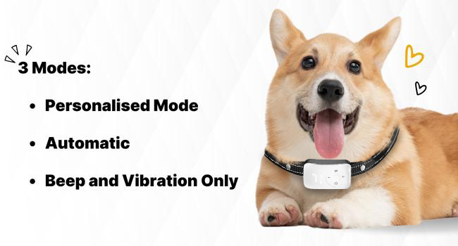 dog collar, dog collars, dog shock collar, dog barking deterrent devices, small dog collar,