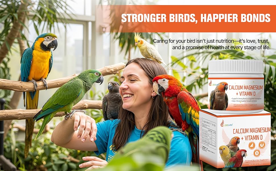 cuttlebone for birds