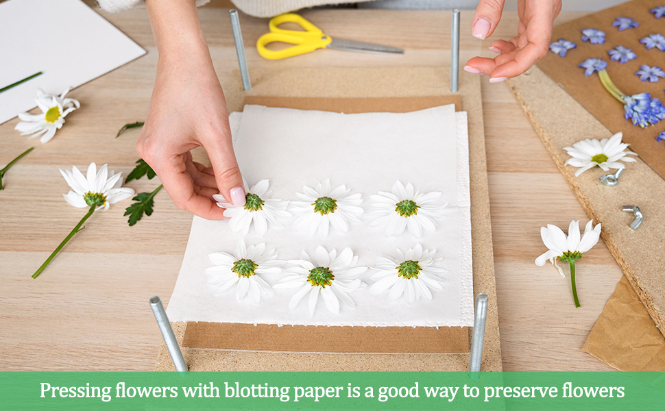 Wisreach Blotting Paper for Flower Press, 20 Sheets Flower