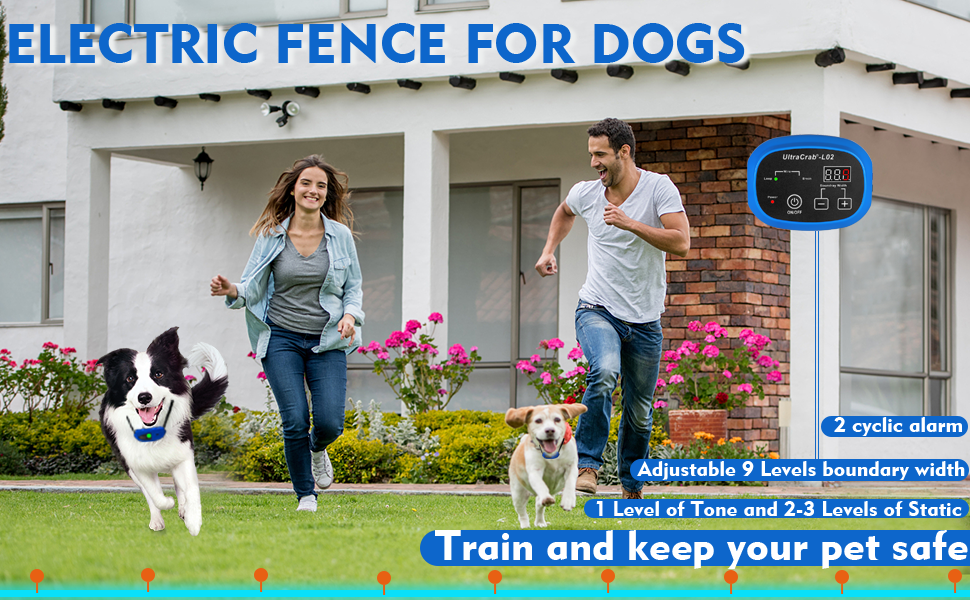 UltraCrab Basic InGround Pet Fence Two Dog System