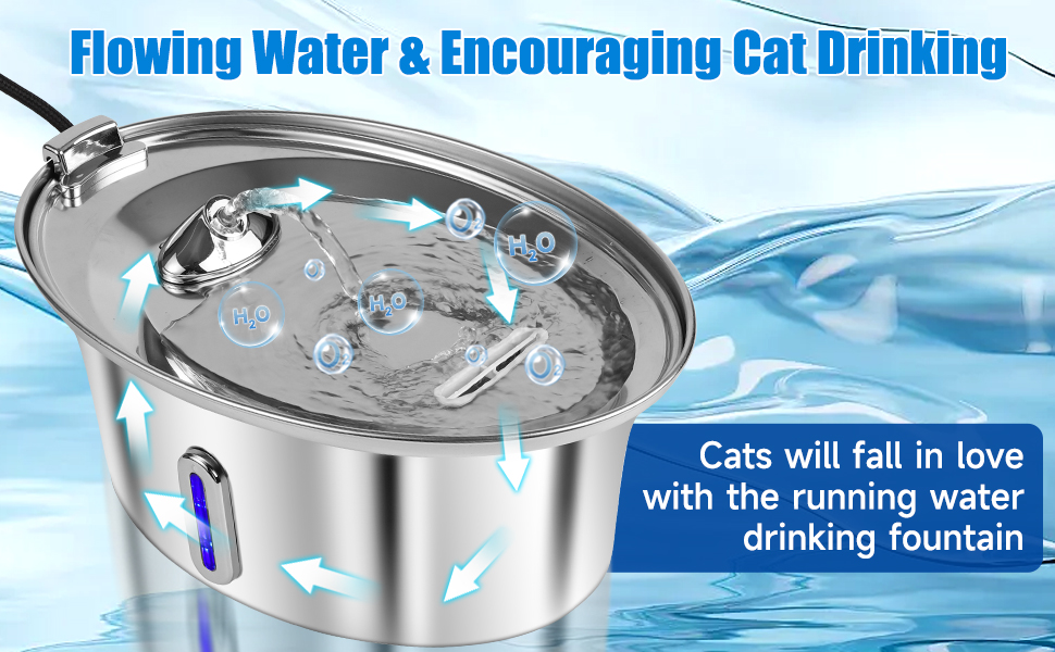 water drinking for cat