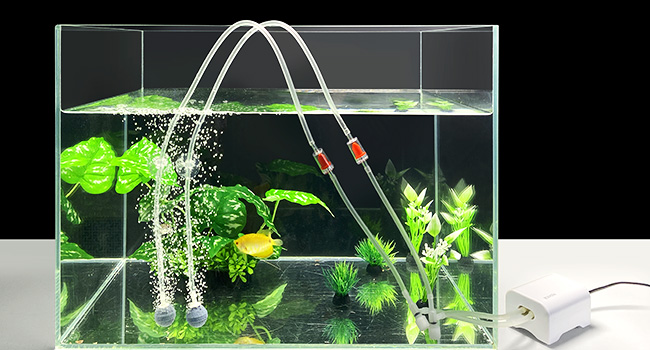 Mini Aquairum Luftpumpe