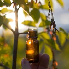 Exceptys huile de nigelle tunisie Pureté et naturalité