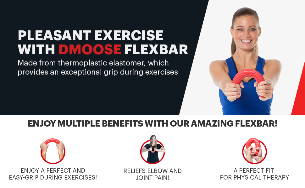 DMoose Fitness Flex Bar (3 in 1YRG) Health & Household