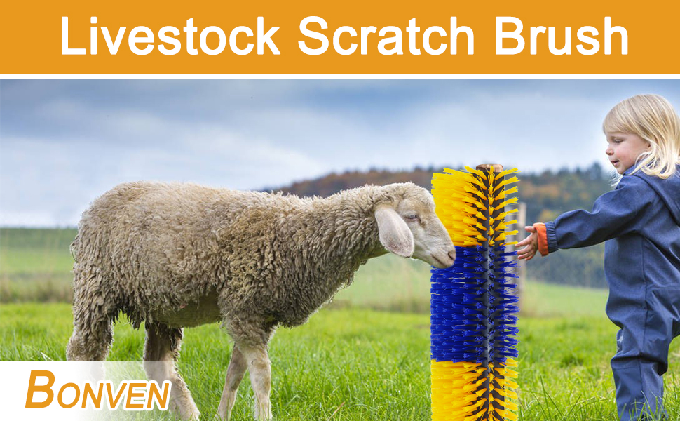 livestock scratching brush