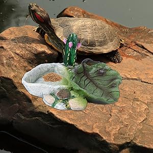 Reptile Water Bowl